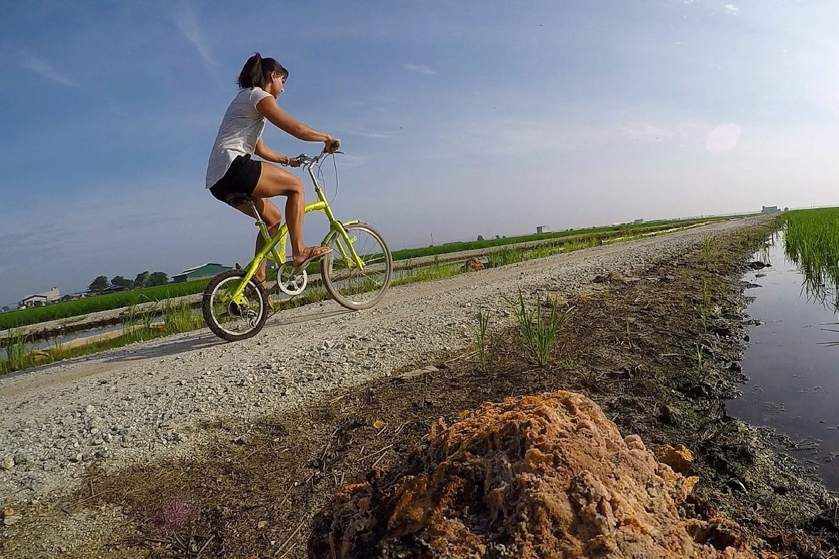 Brroke Siem on green-yellow bike
