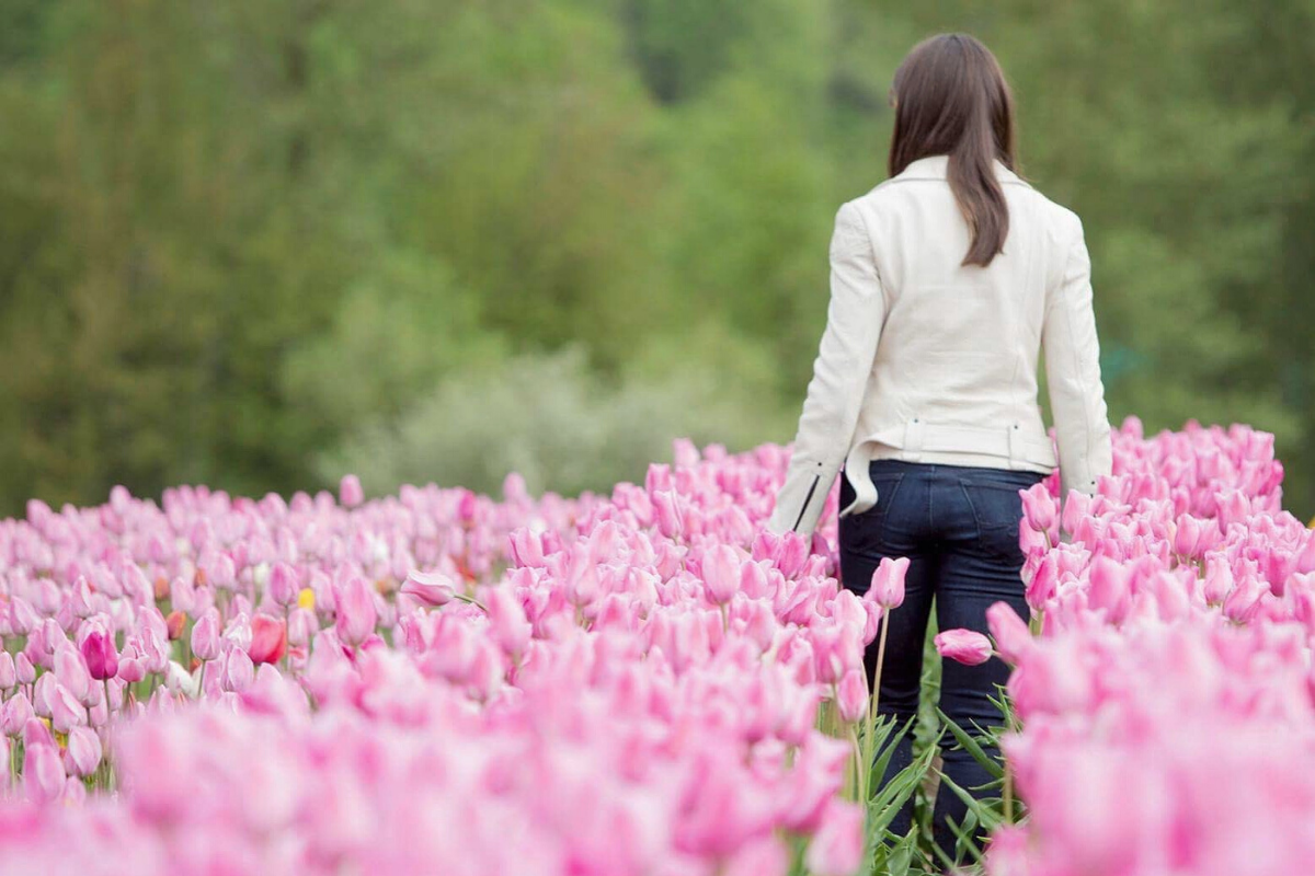 woman walking through the field of pink tulips